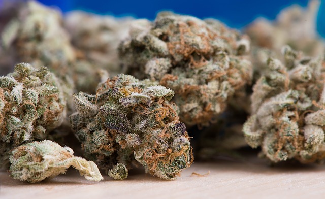Medical Cannabis and the Conditions it Treats